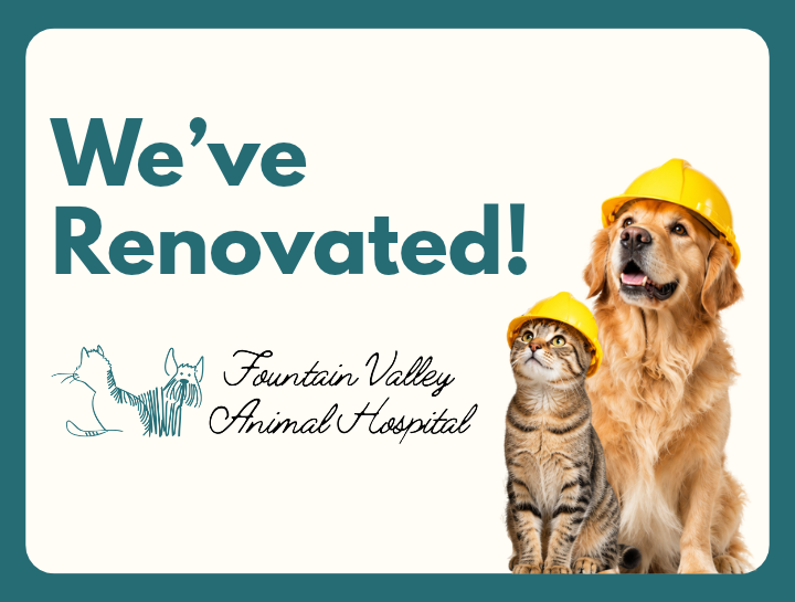 We've Renovated!